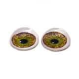 High Domed Hazel Human Glass Eyes whit Whites Scleras