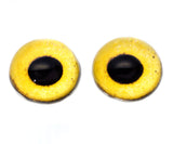 High Domed Golden Eagle Glass Eyes