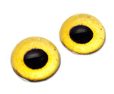 High Domed Golden Eagle Glass Eyes