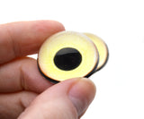 High Domed Pale Yellow Heron Bird Glass Eyes