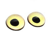 High Domed Pale Yellow Heron Bird Glass Eyes