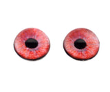 High Domed Red Colored Black Swan Glass Eyes