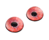 High Domed Red Colored Black Swan Glass Eyes