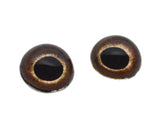 High Domed Roadrunner Bird Glass Eyes