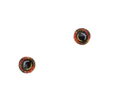Komodo Dragon Reptile Glass Eyes