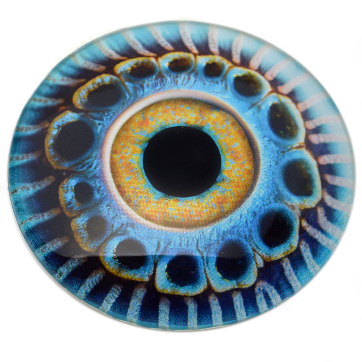 希少2012 ケナン Kenan Tiemeyer EYE OF GOD ガラス kraken-78mm-glass-eye-blue-and