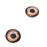 Loch Ness Monster Glass Eyes