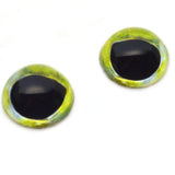 High Domed Mahi Mahi Dolphin Fish Glass Eyes