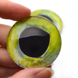 Mahi Mahi Dolphin Fish Glass Eyes