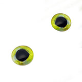 Mahi Mahi Dolphin Fish Glass Eyes