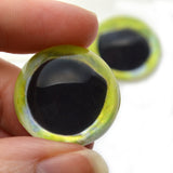 High Domed Mahi Mahi Dolphin Fish Glass Eyes