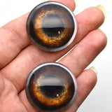 Medium Brown Dog Glass Eyes