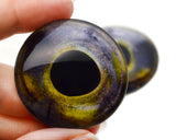 Northern Pike Predator Fish Glass Eyes