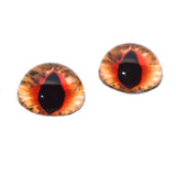 Orange fantasy cat high dome glass eyes