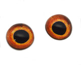 High Domed Orange Tench Fish Glass Eyes