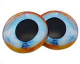 Pale Blue and Orange Glass Fish Eyes