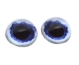 High Domed Pale Blue Dog Glass Eyes