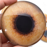 78mm Pheasant Glass Bird Eyes big huge