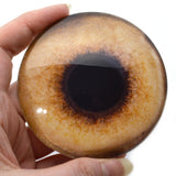 Pheasant Glass Bird Eyes