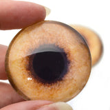 Pheasant Glass Bird Eyes