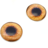Pheasant Glass Bird Eyes