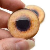 30mm Pheasant Glass Bird Eyes