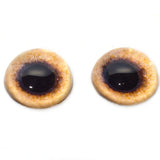 High Domed Tan Pheasant Glass Eyes