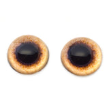 High Domed Tan Pheasant Glass Eyes
