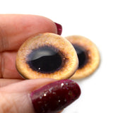 High Domed Tan Pheasant Glass Eyes