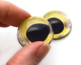 High Domed Rainbow Trout Fish Glass Eyes