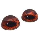 High Domed Rich Deep Brown Human Glass Eyes