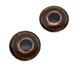 Roadrunner Glass Bird Eyes