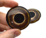 Roadrunner Glass Bird Eyes