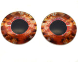Scorpion Fish Glass Eyes