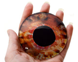 Scorpion Fish Glass Eyes