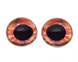High Domed Scorpion Glass Fish Eyes