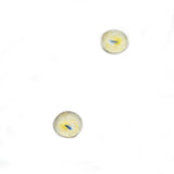 miniature Yellow Sphynx Cat Glass Eyes