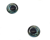 Sturgeon Fish Glass Eyes
