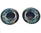 Sturgeon Fish Glass Eyes