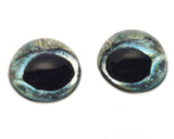 High Domed Sturgeon Fish Glass Eyes