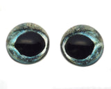 High Domed Sturgeon Fish Glass Eyes