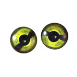 Green Sea Turtle Glass Eyes