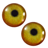 Flamingo glass eyes