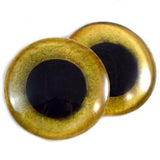 Yellow Owl Eyes