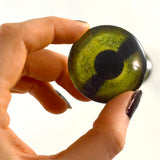 Green Sea Turtle Glass Eyes