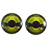 Green Sea Turtle Glass Eyes