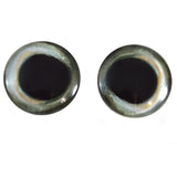 50mm Skipjack Tuna Glass Eyes - Big 2 Inch Fish Eyes