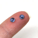 Insect Bee Bug glass eyes
