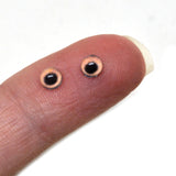 light brown dog glass eye
