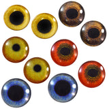 Bird Glass Eyes Bundle